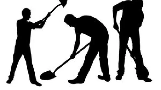 Daily article february 19 2015